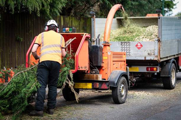 Best Commercial Tree Services  in Cooperstown, NY